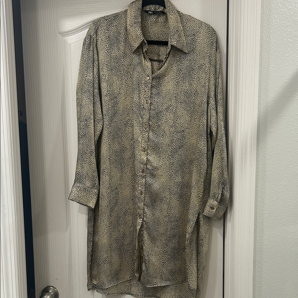 Zara Leopard Print Collared Dress